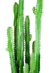 Similar image 811456