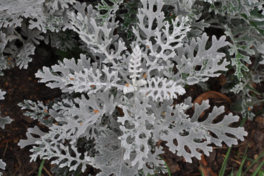 Similar image 811474