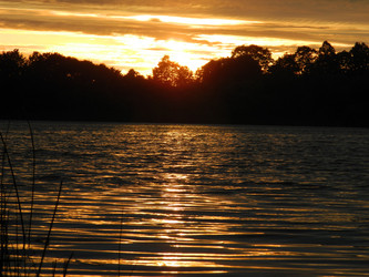 Similar image 811477