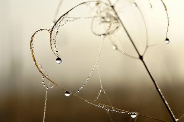 Similar image 811485