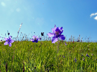 Similar image 811490