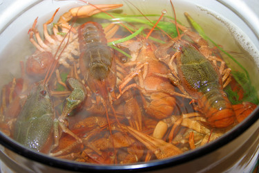 Similar image 811516