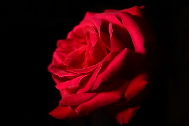 Similar image 811608