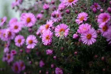 Similar image 811609