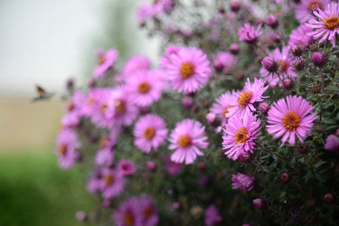 Similar image 811611