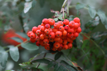 Similar image 811619