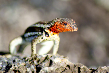 Similar image 811621