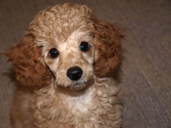 Similar image 811623