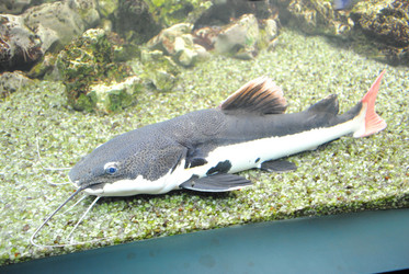 Similar image 811634