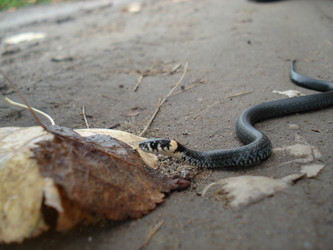 Similar image 811635