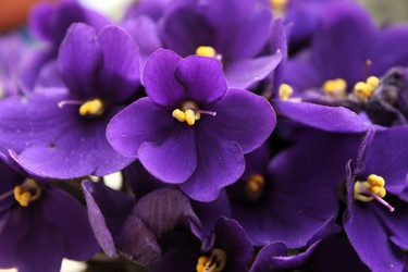 Similar image 811646