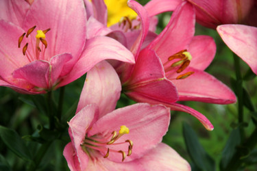 Similar image 811649