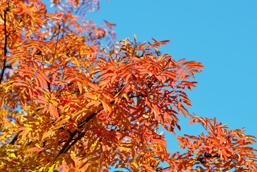 Similar image 811663