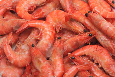 Similar image 811664