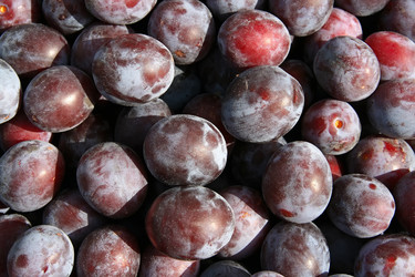 Similar image 811665