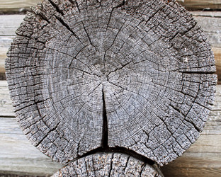 Similar image 811669