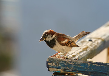 Similar image 811677