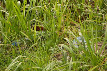 Similar image 811678