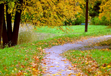 Similar image 811679