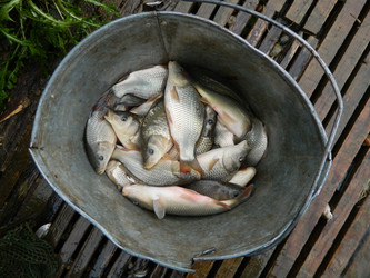 Similar image 811685