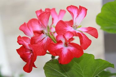 Similar image 811688