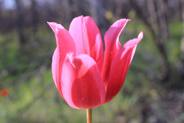 Similar image 811689