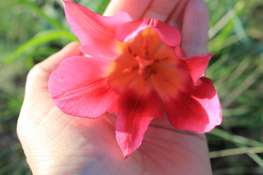 Similar image 811690