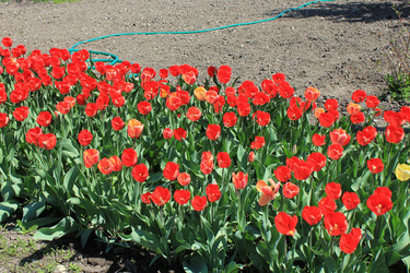 Similar image 811692