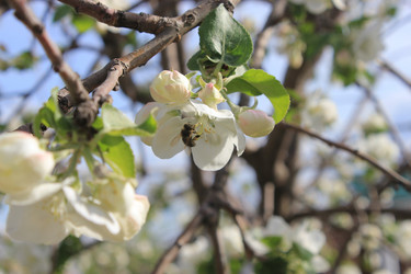 Similar image 811694