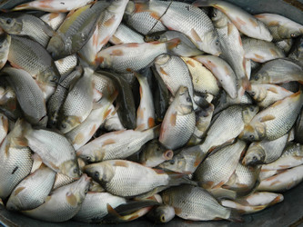 Similar image 811705