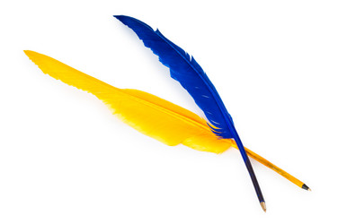 Similar image 811790