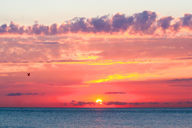 Similar image 811794