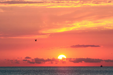 Similar image 811798