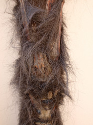 Similar image 811824