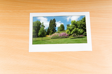 Similar image 811829