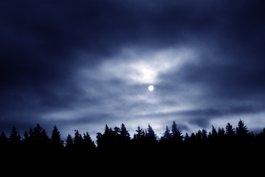 Similar image 811833