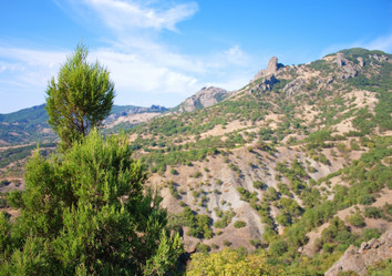 Similar image 811847