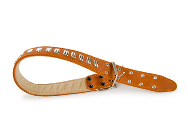 Similar image 811848