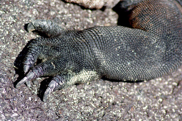 Similar image 811877