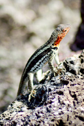 Similar image 811878