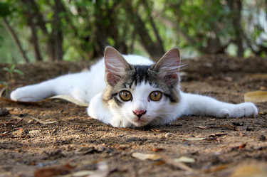 Similar image 811902