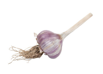 Similar image 811911