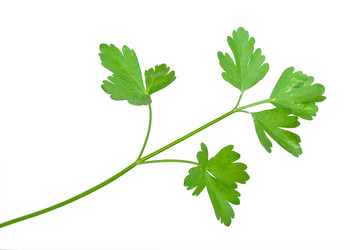 Similar image 811922