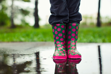 Similar image 811973