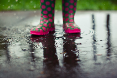 Similar image 811976