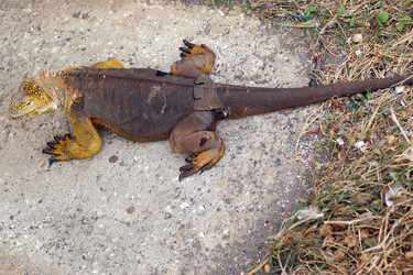 Similar image 811999