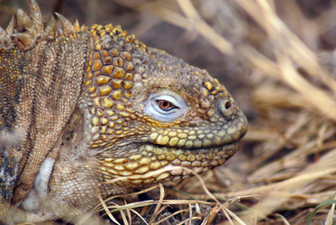 Similar image 812002