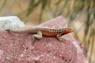 Similar image 812015