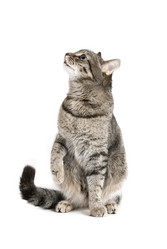 Similar image 812051