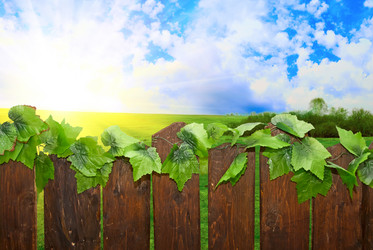 Similar image 812239